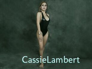 CassieLambert Straponles