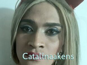 Catalinaakens