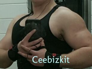 Ceebizkit