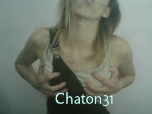 Chaton31