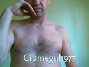 Ciumegul1977