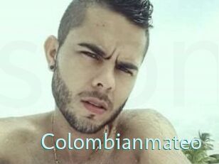 Colombian_mateo