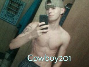 Cowboy201
