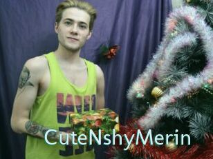 CuteNshyMerin