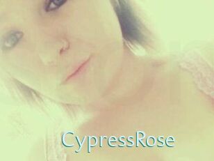 Cypress_Rose