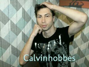 Calvinhobbes