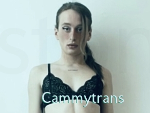 Cammytrans