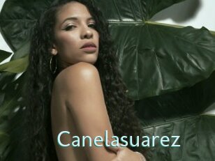 Canelasuarez
