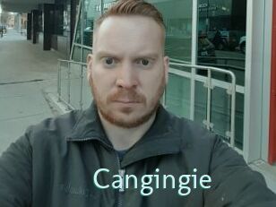 Cangingie