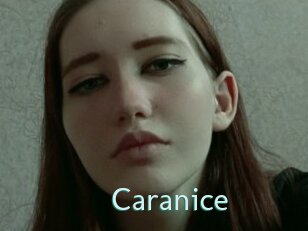 Caranice