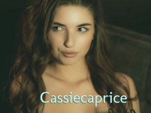 cassiecaprice Straponles