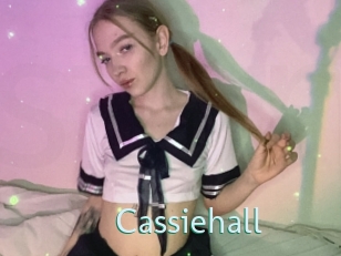 cassiehall Straponles