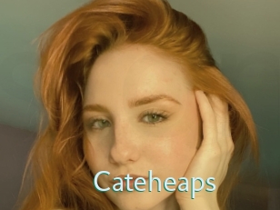 Cateheaps