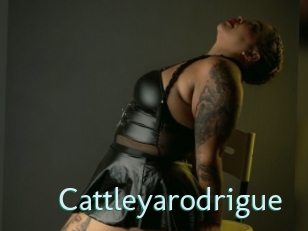 cattleyarodrigue Straponles