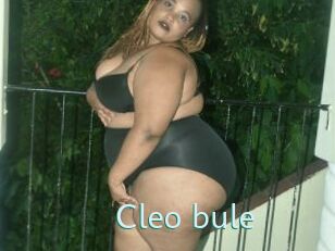 Cleo_bule