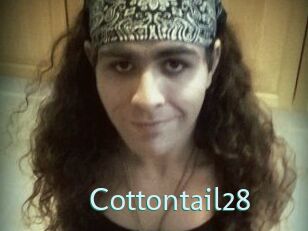 Cottontail28