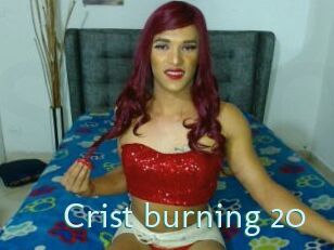 Crist_burning_20