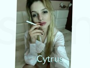 Cytrus