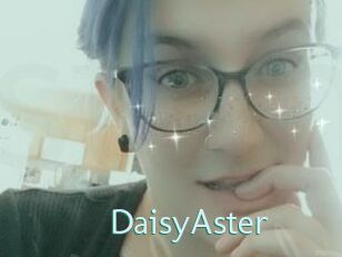DaisyAster
