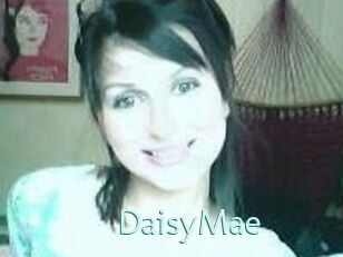Daisy_Mae