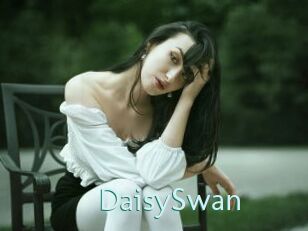 DaisySwan
