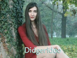 Didgeridoo