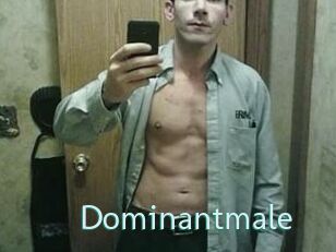 Dominantmale