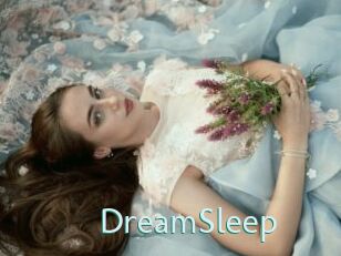 DreamSleep