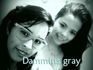 Dammins_gray
