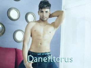 Daneil_torus