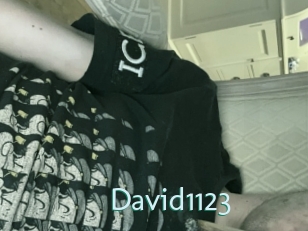 David1123