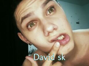 David_sk