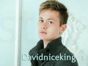 Davidniceking