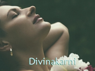 Divinakarni