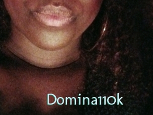 Domina110k