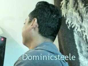 Dominicsteele