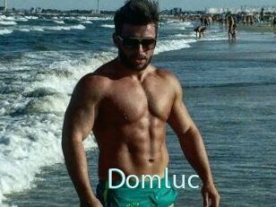 Domluc