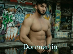 Donmerlin