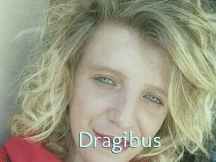 Dragibus