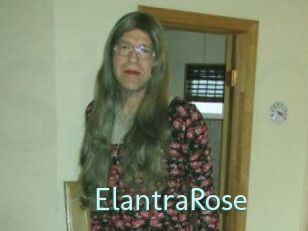 Elantra_Rose