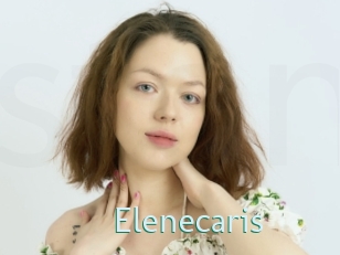 Elenecaris