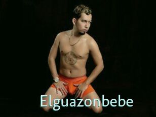 Elguazonbebe