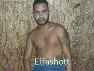 Eliashott