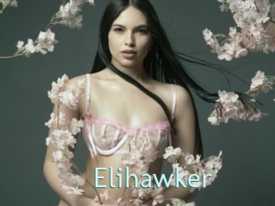 Elihawker