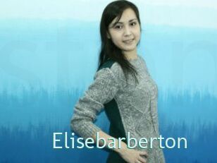 Elisebarberton