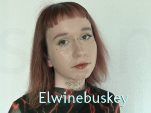 Elwinebuskey