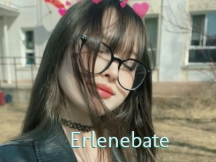 Erlenebate