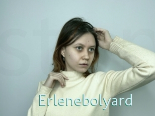 Erlenebolyard