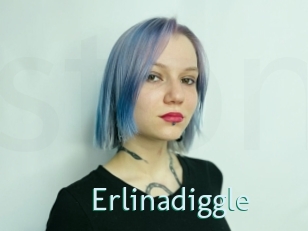 Erlinadiggle