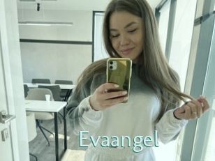 Evaangel